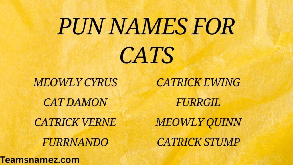 Pun Names for Cats