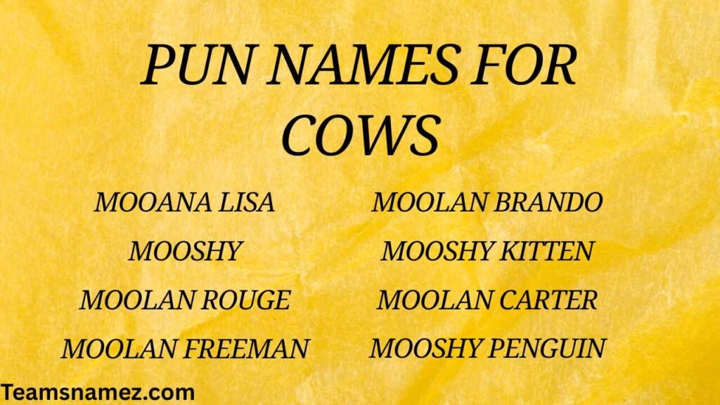 Pun Names for Cows