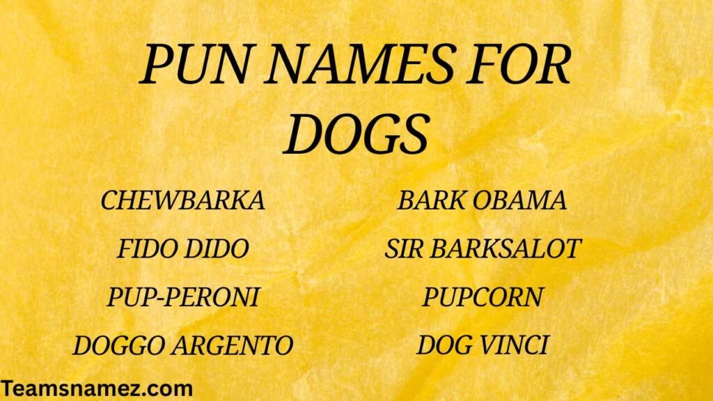 Pun Names for Dogs