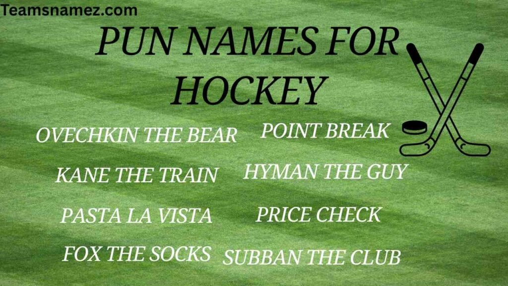 Pun Names for Hockey