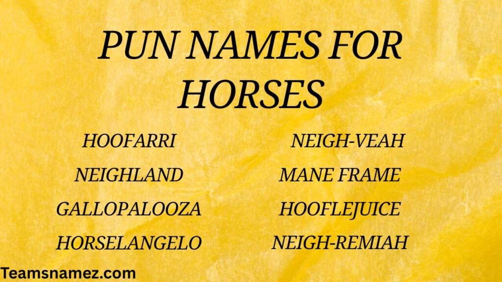 Pun Names for Horses