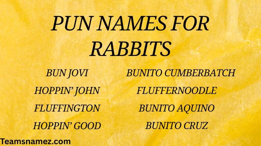 Pun Names for Rabbits