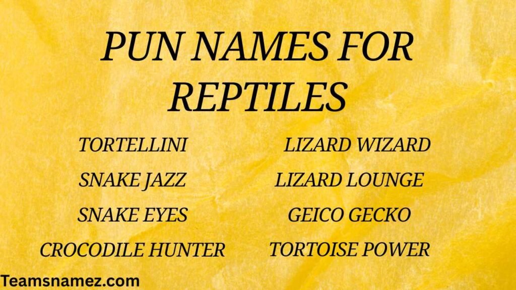 Pun Names for Reptiles