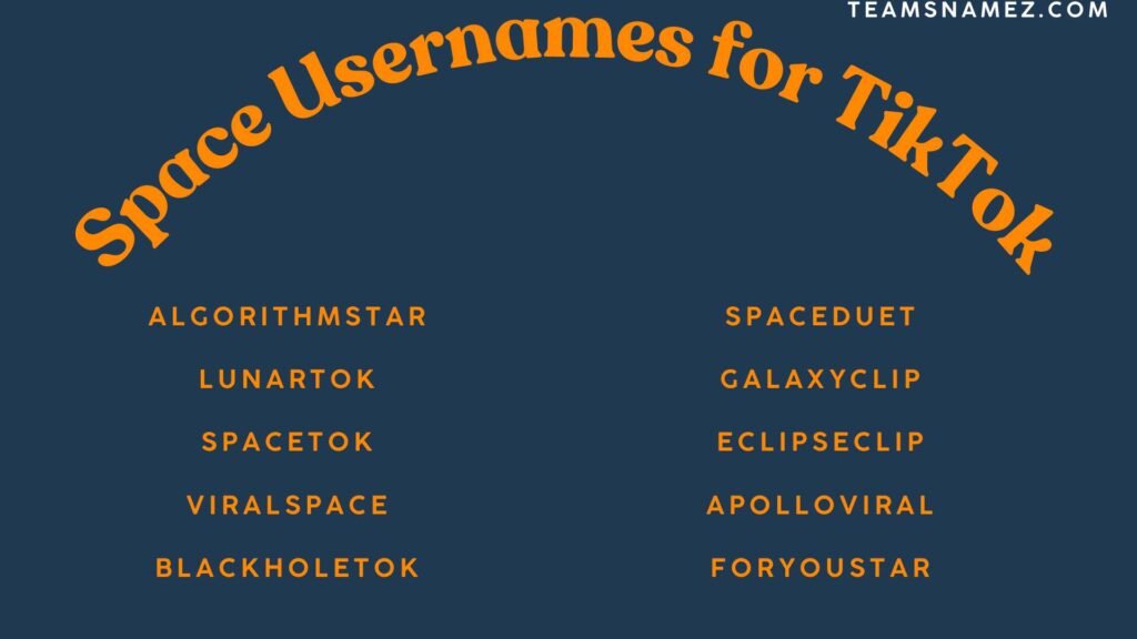 Space Usernames for TikTok