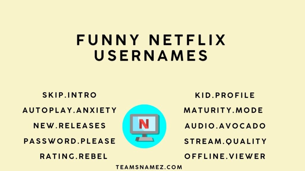 Funny Netflix Usernames