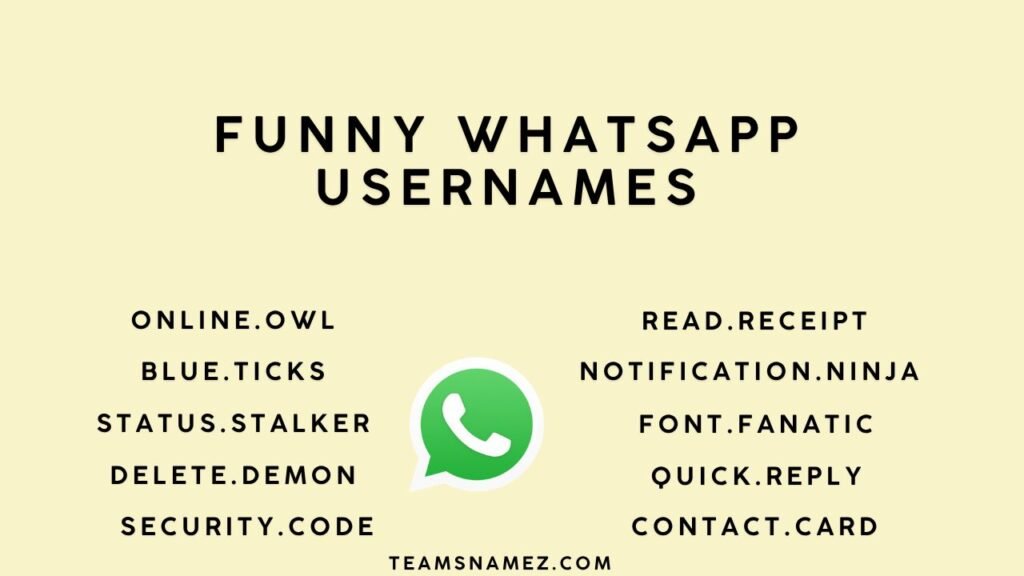 Funny WhatsApp Usernames