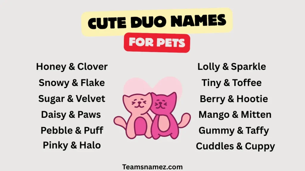 Cute Duo Name ideas for Pets