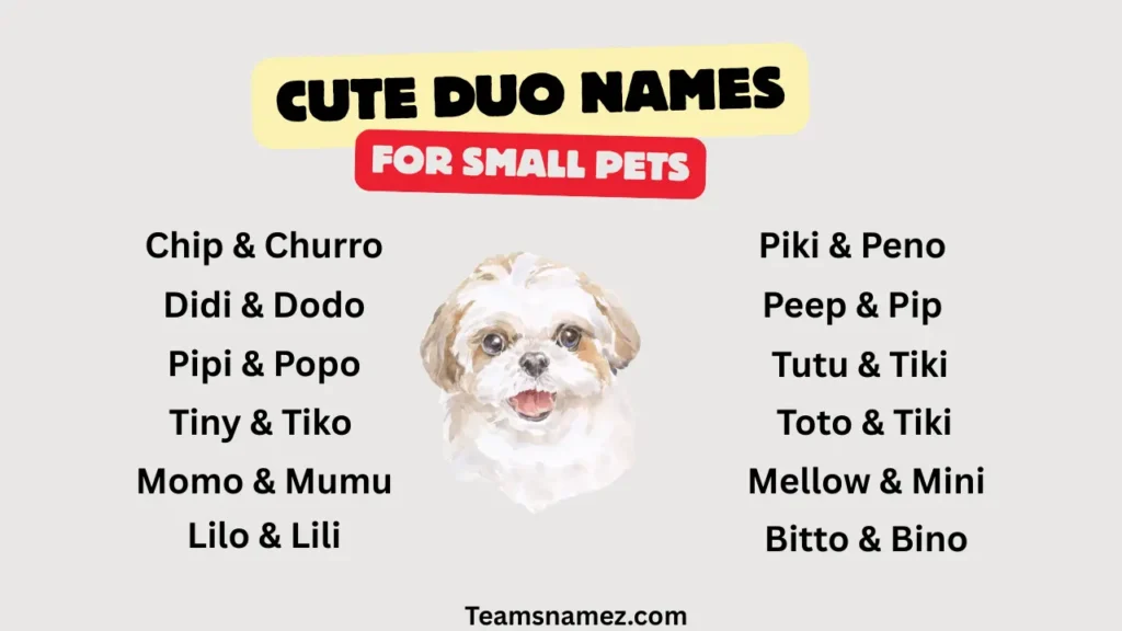 Cute Duo Name ideas for Small Pets