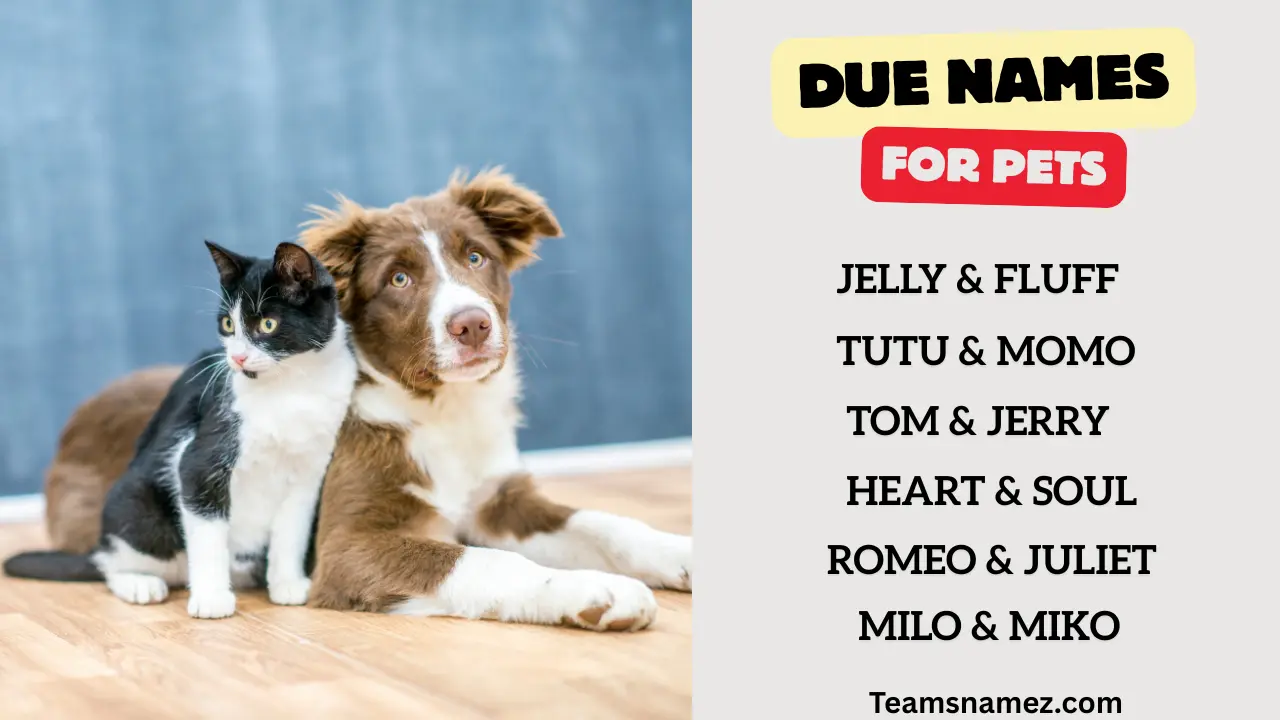 Duo Names for Pets