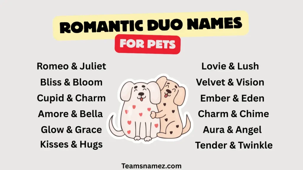 Romantic Duo Name ideas for Pets