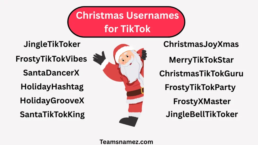 Christmas Usernames for TikTok