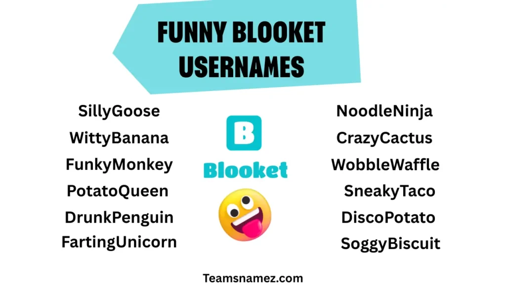 Funny Blooket Username ideas
