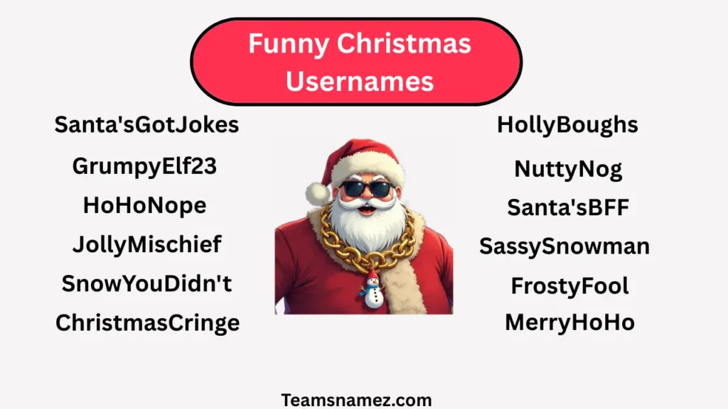 Funny Christmas Usernames