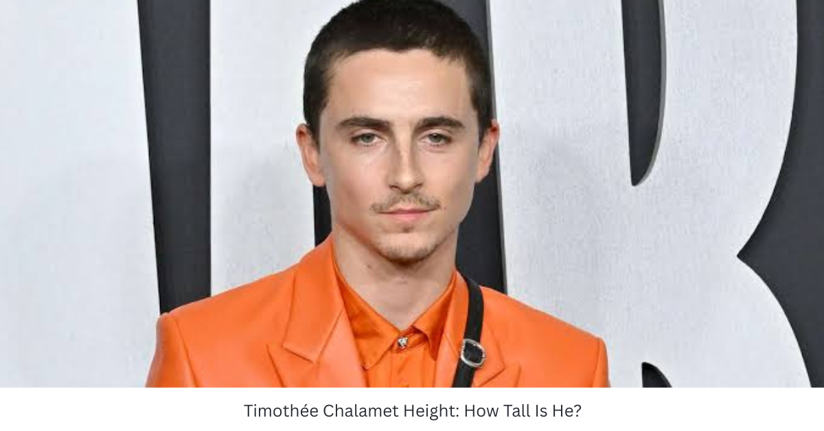 Timothée Chalamet Height: How Tall Is He?